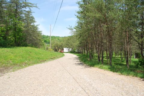 Driveway looking back toward Webb Rd.