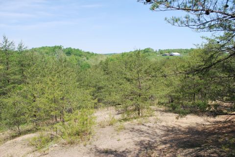 View from a high point of the property