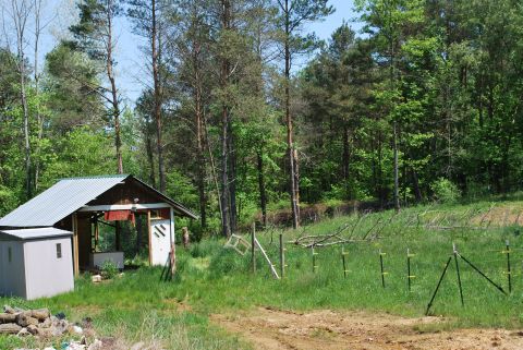 Horse shed and fence