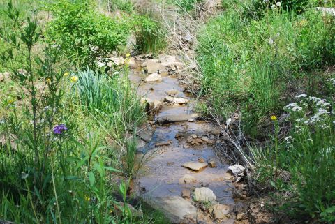 Creek on the property