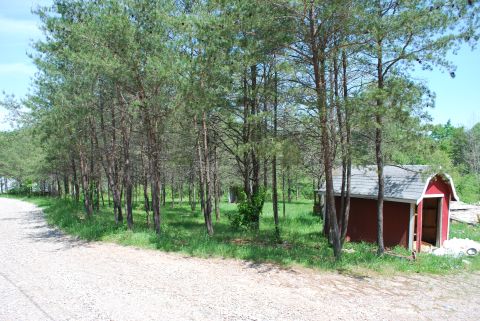 Red Shed and looking down driveway toward Webb